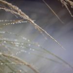 4399高清完整版在线观看 ice0m